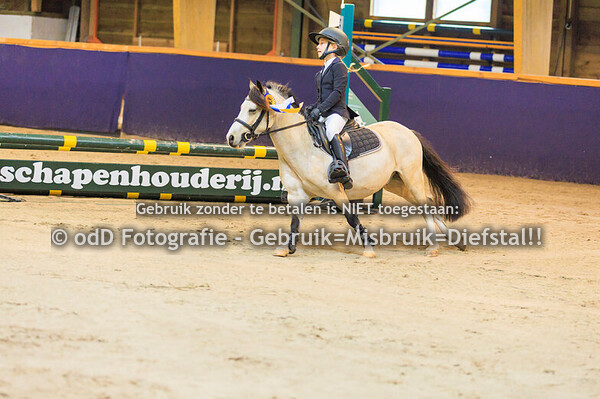 Geldrop Hippique pony 50ab  11-10-25