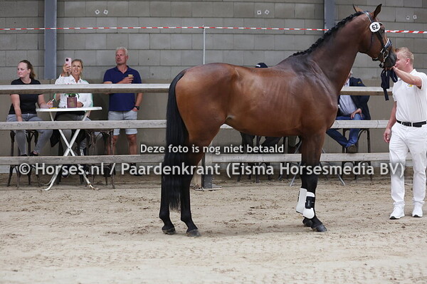 62 Pronce (Hermes x Cita v. United) (1)