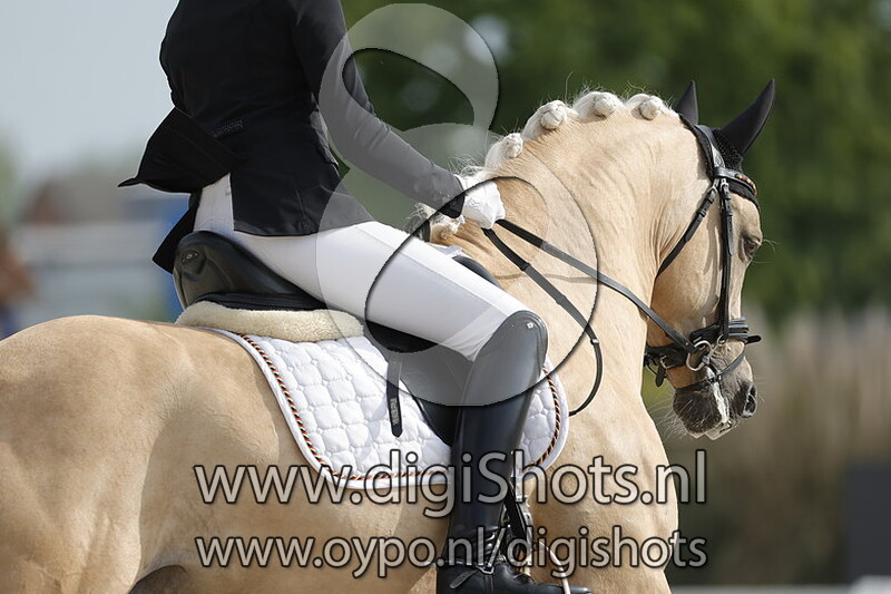 Biebosschen Dolino EC