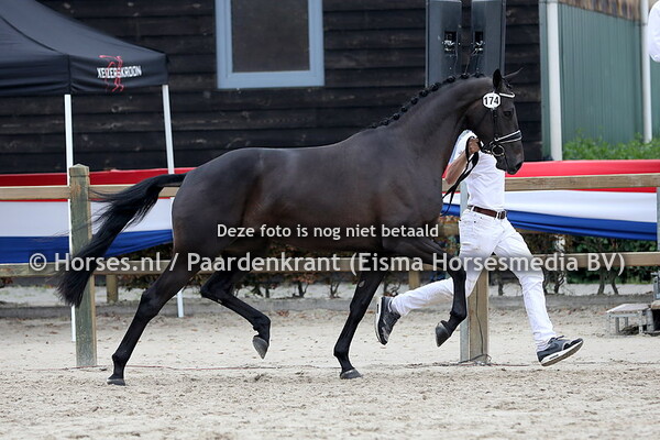 174 Lharava GK (Trafalgar x Finesrava v. Zambuka)