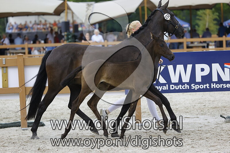 Totally Black DBD v. Mauro Turfhorst