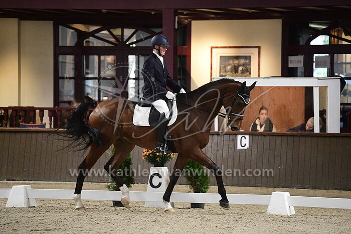 Hendrik van Esch - Niel Daimond