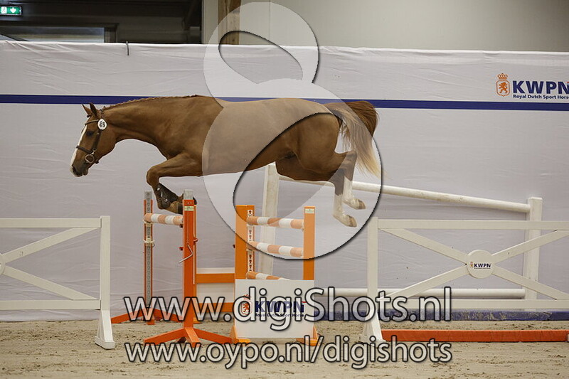 Samar v. Ermitage Kalone