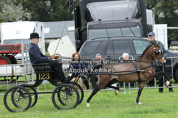 Hackney Kleine Limiet