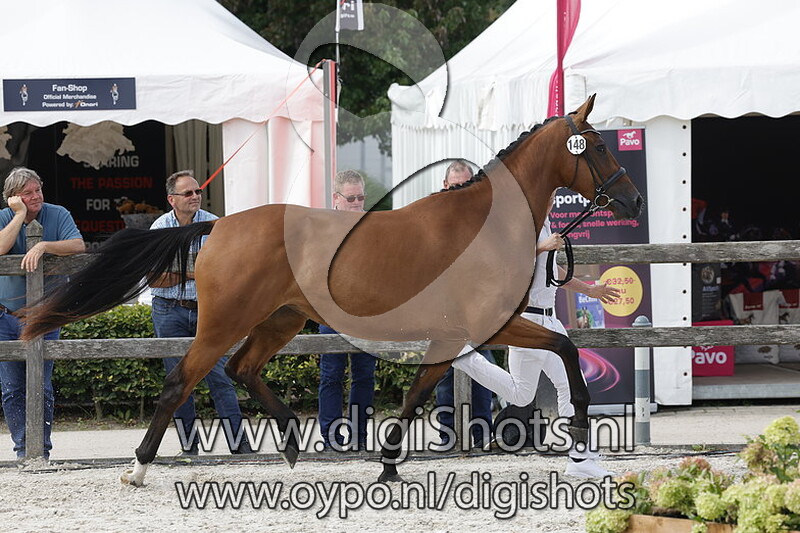 Pollyrijke VR v. Ghandi