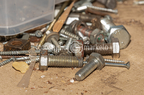 Meuten optochtwagens 