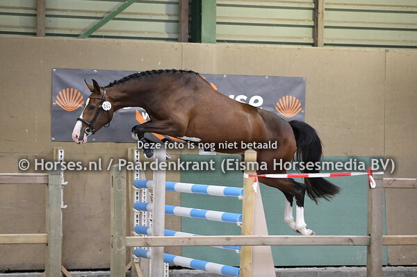 3 Milamone v Grandorado TN