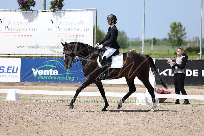 Kelly Schipper - Oriental Star