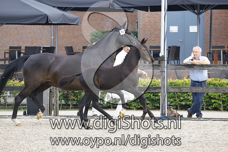 080 Romiro v. Furst Dior