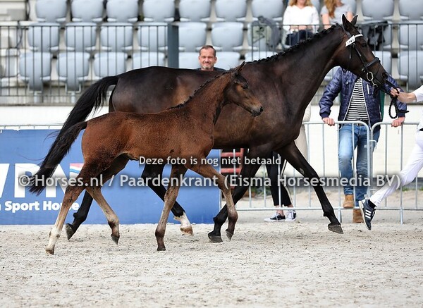 26 Olivia Joy (Just Wimphof x Joy Story v. Dream Boy)