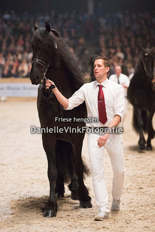 Hengstenkeuring 2018 Hette 481