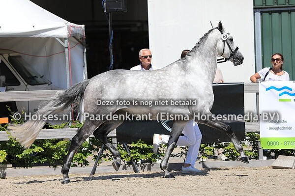 62 Hazel v Velazquez