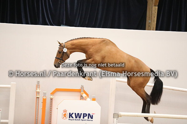 31 Cascadello x Emilion