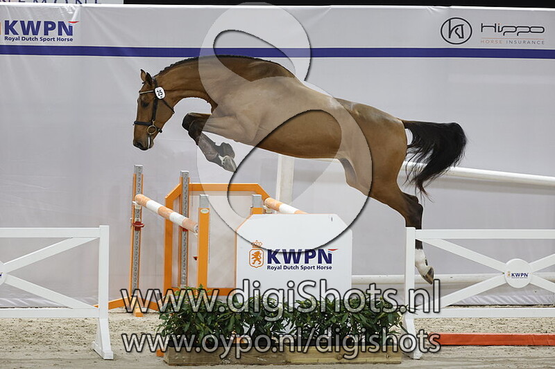 Obelisk H v. Cape Coral RBF Z