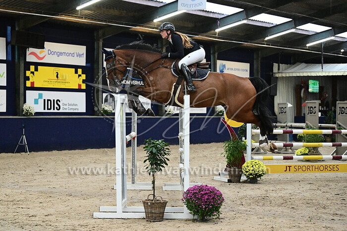 Sacha de Wit - Pazinia