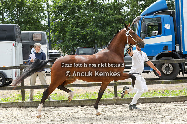 Susandra ( Macho x Atleet )