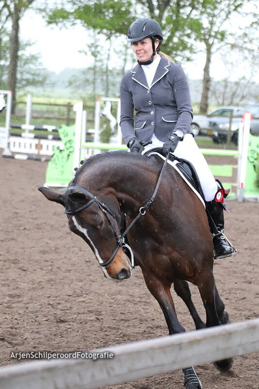 Jumping 't Haskelân 03-05-2019 Paarden BB/B