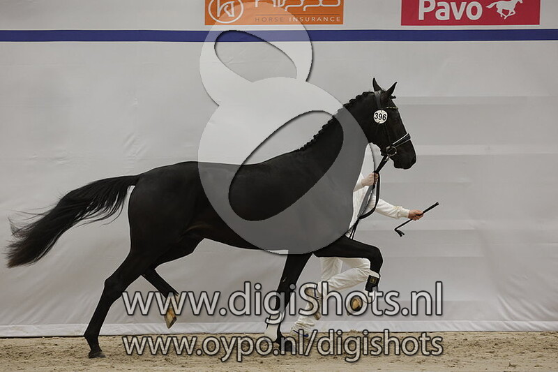 Robert Downey Jr. Pp v. Ibiza - 396