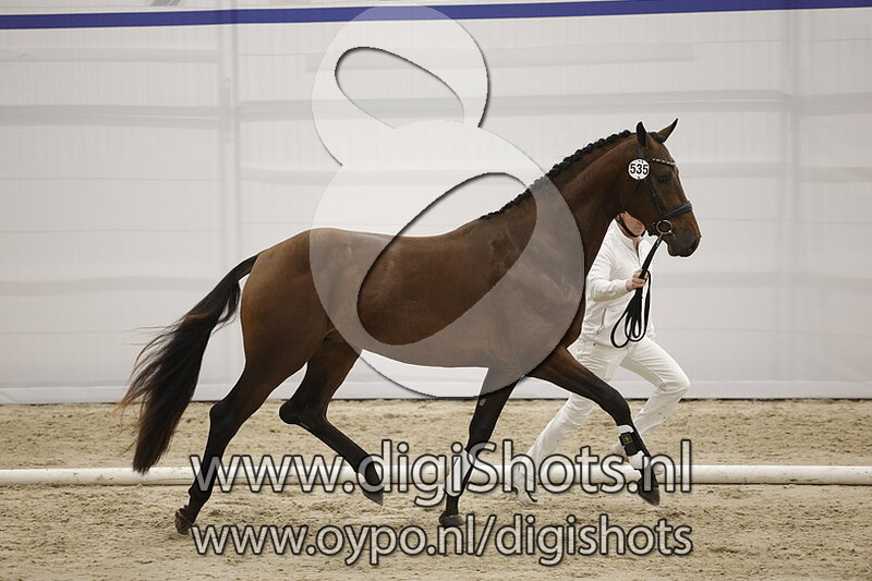 Plato Perkamentus v. Total US - 535