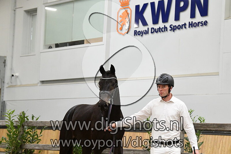 Roberto v. Furst Dior - 371