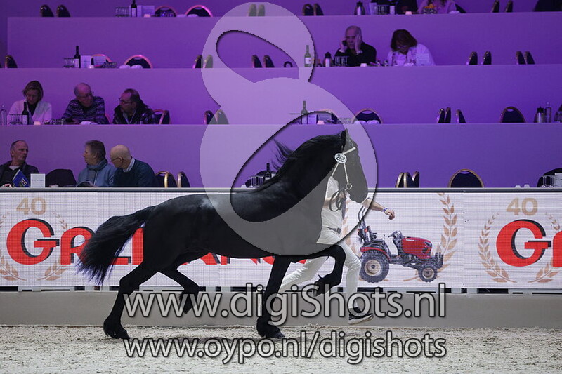 Ynte van d'n Meulenpad