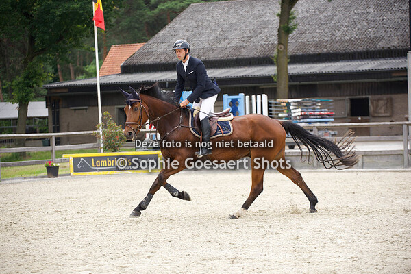 03/07 Paarden clear round 80
