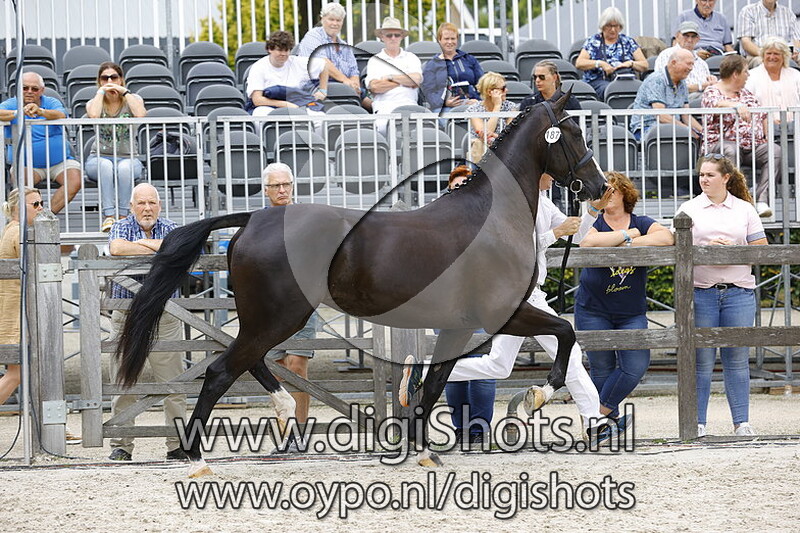 187 Nindy Rona B v. Ibsen B