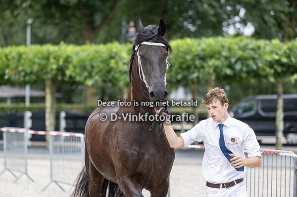 82. Femke fan 'e Oasterein