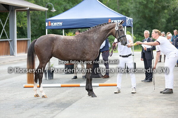 27  Retsina (Comme il faut x Fersina v. Corland)