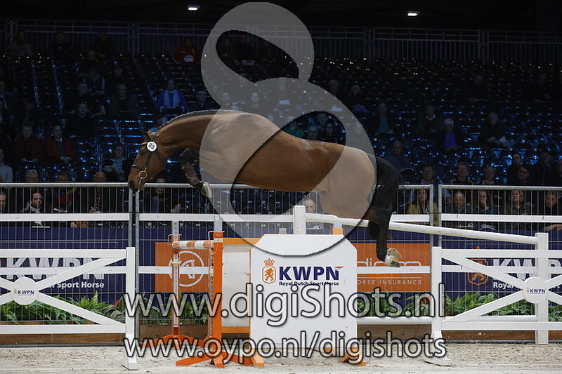 Vital Van Hd v. Kasanova De La Pomme - 088