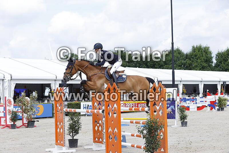 mareille van geel schroder