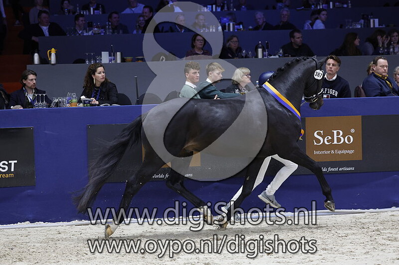 Rayano v. Glamourdale - 387