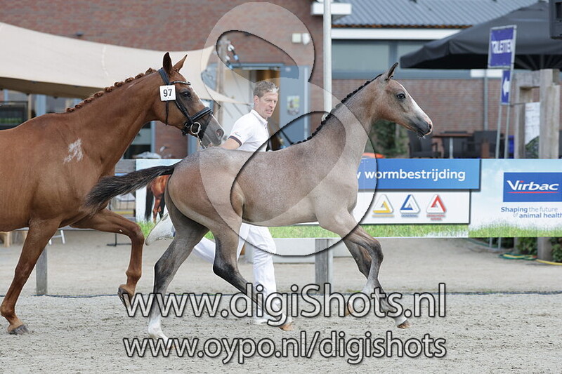 Very Proud v. Proud James