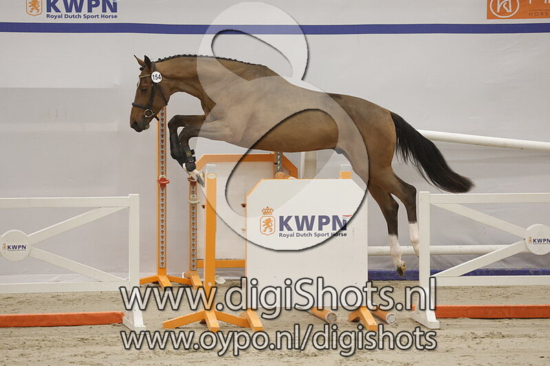 Ready To Rumble v. Vagabond De La Pomme - 154