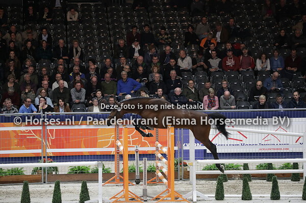 211 Mees van de Watermolen (Vannan x Carambole x Guidam) (1)