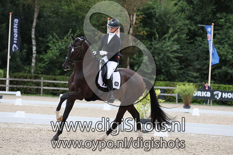 Ring 2 M1 overkampen