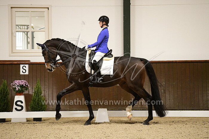 Jose van Haaren - Senzo