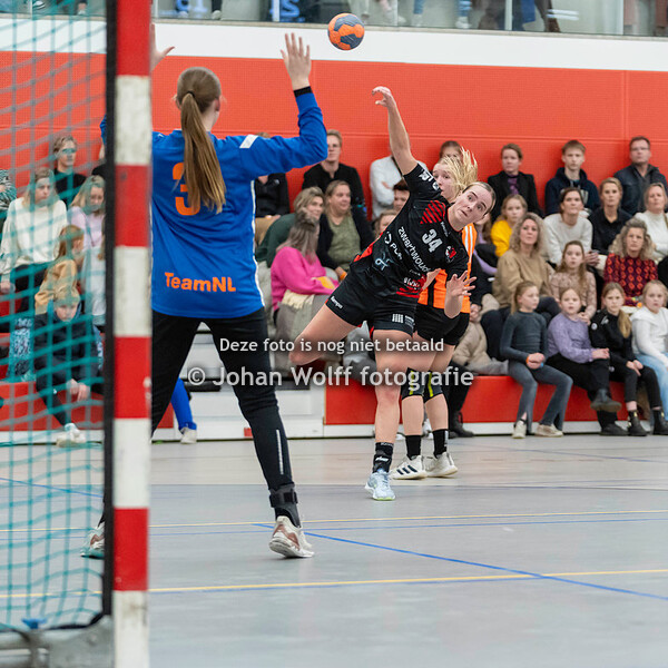 hss / Zwartwoud Kwiek