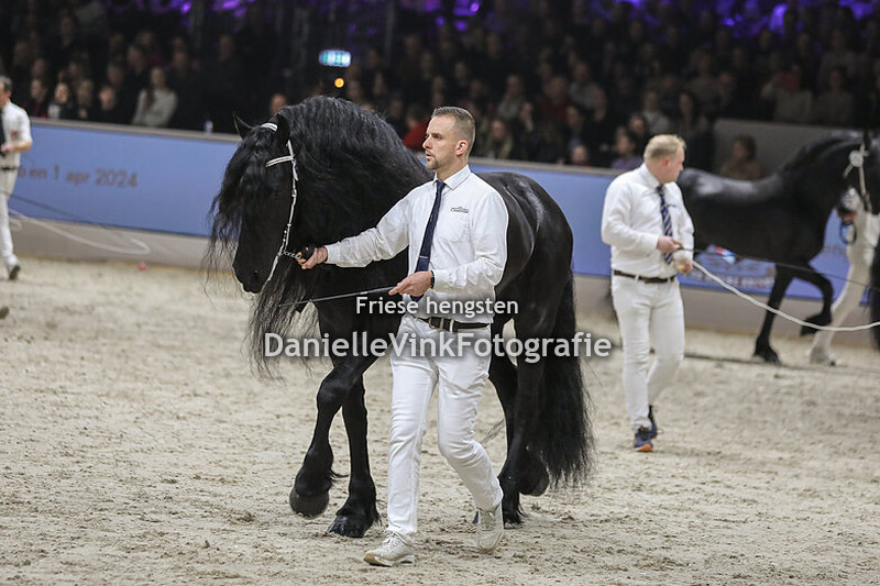 Hengstenkeuring 2024 Alger 522