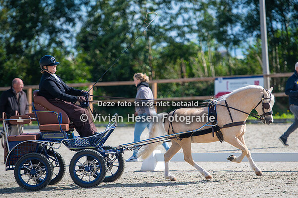 Aangespannen rubrieken