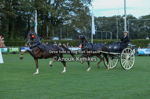 TP Tandem - Rondje Drenthe om het Bronzen Bartje 