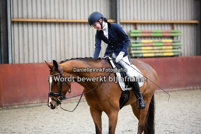 L1 paarden (vrijdag)