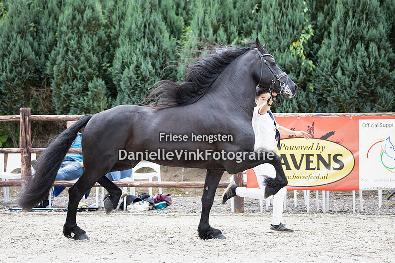 Friese Fokdag Schijndel 2021 - Boet 516