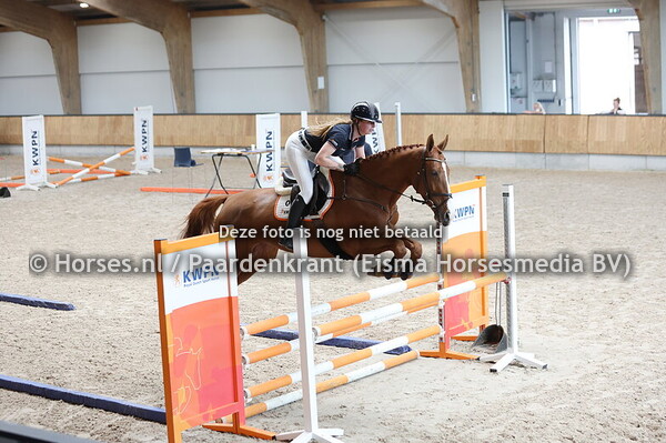 1 Paola-Pinacolada (Baltic VDL x Kypina Colada v. Kannan)