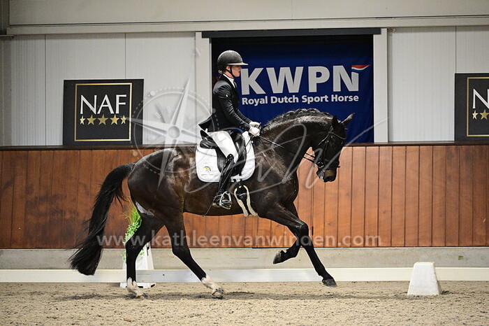 Jesslin Vinkesteijn - Royal Oak