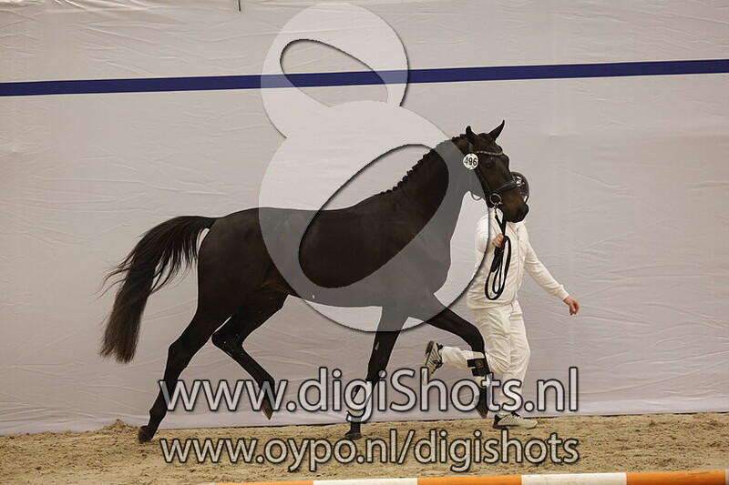 Seabiscuit B v. Sir Donnerhall I
