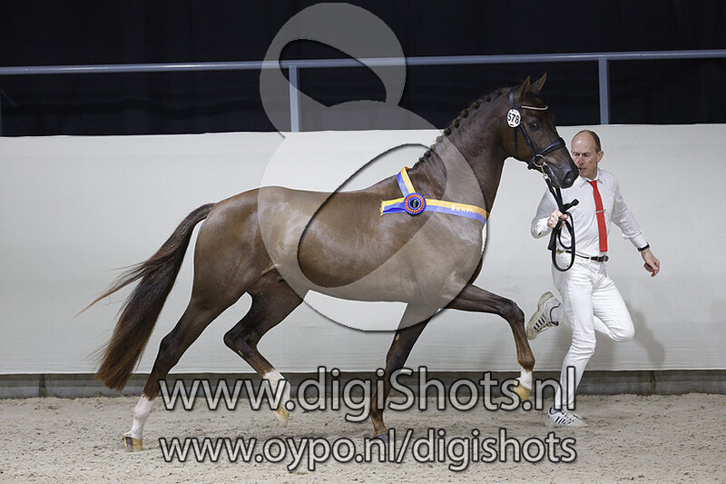 One Two Three v. Vivaldi