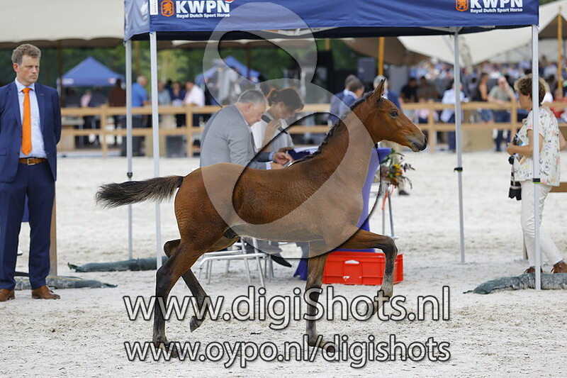 Toblerone v. Mestre do Penedo