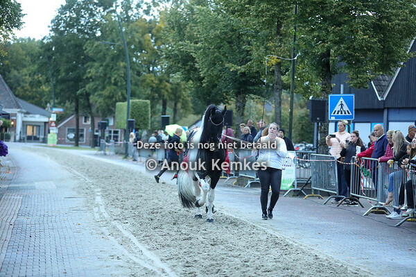 Zwart-Wit Hengstenbal