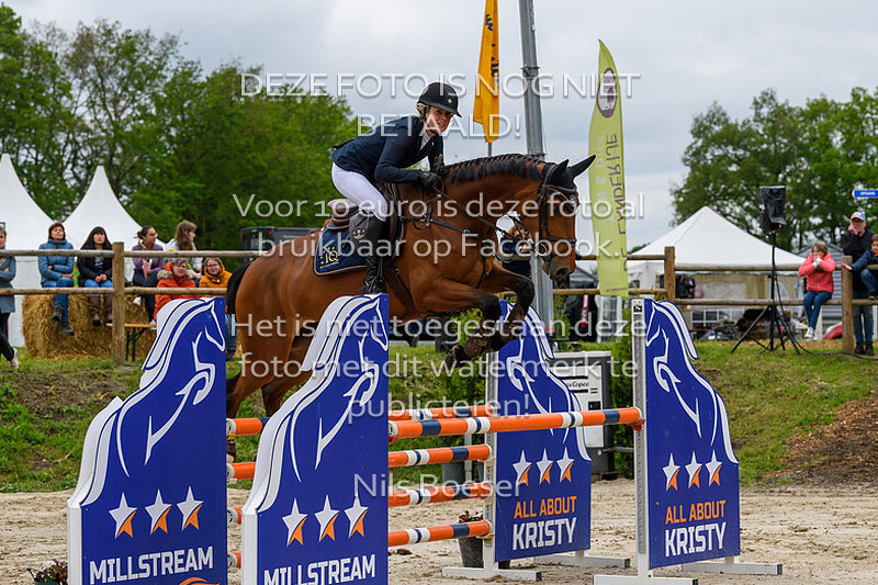 6 Jonge Paarden Springen 6 jarige 115cm